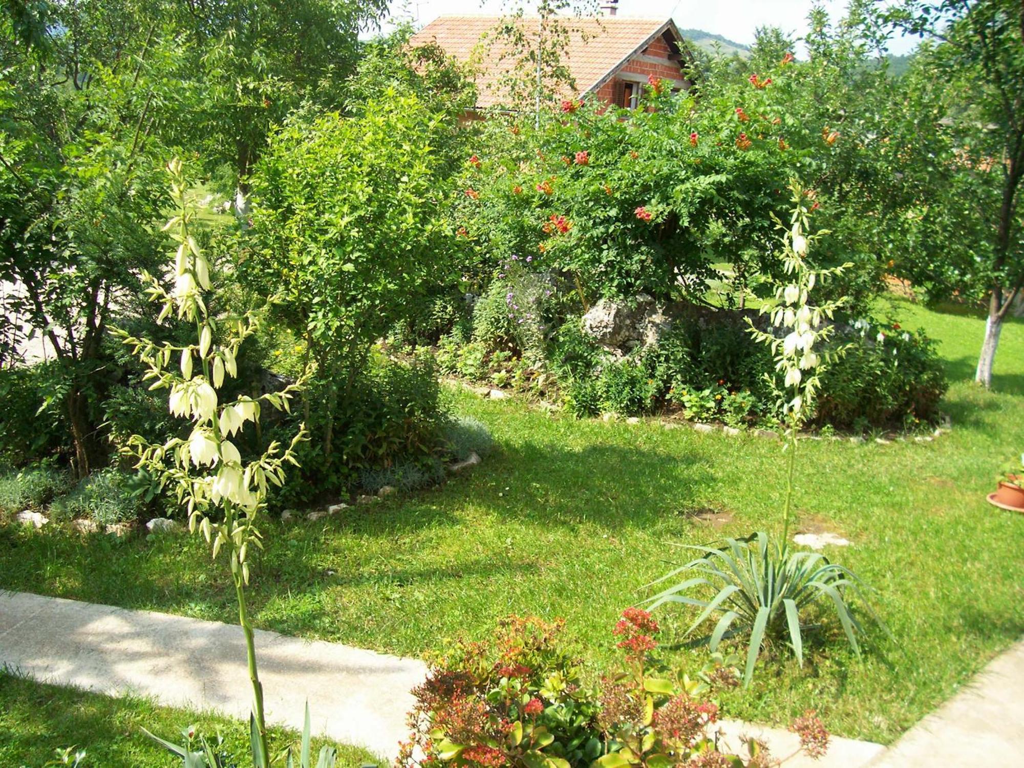 House Zlatko ξενώνας Seliste Dreznicko Εξωτερικό φωτογραφία
